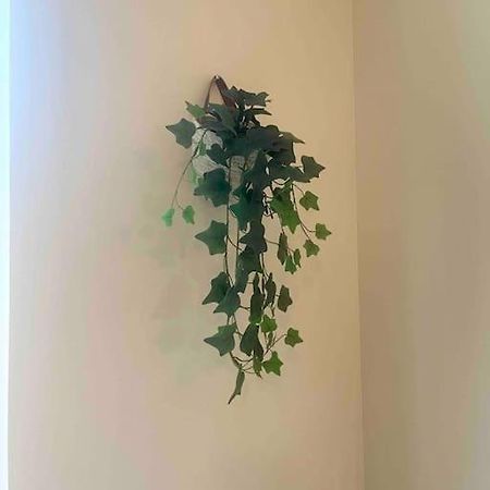 Appartement Noe Centre Ville 土伦 外观 照片